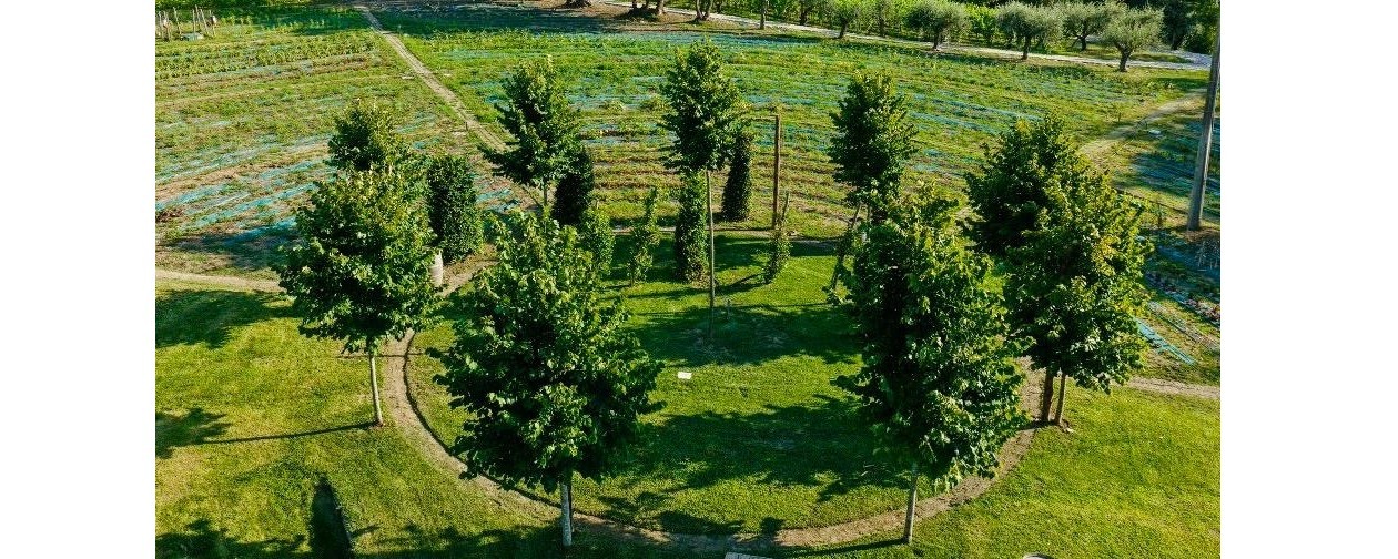 30 anni di Eugenio Izzo